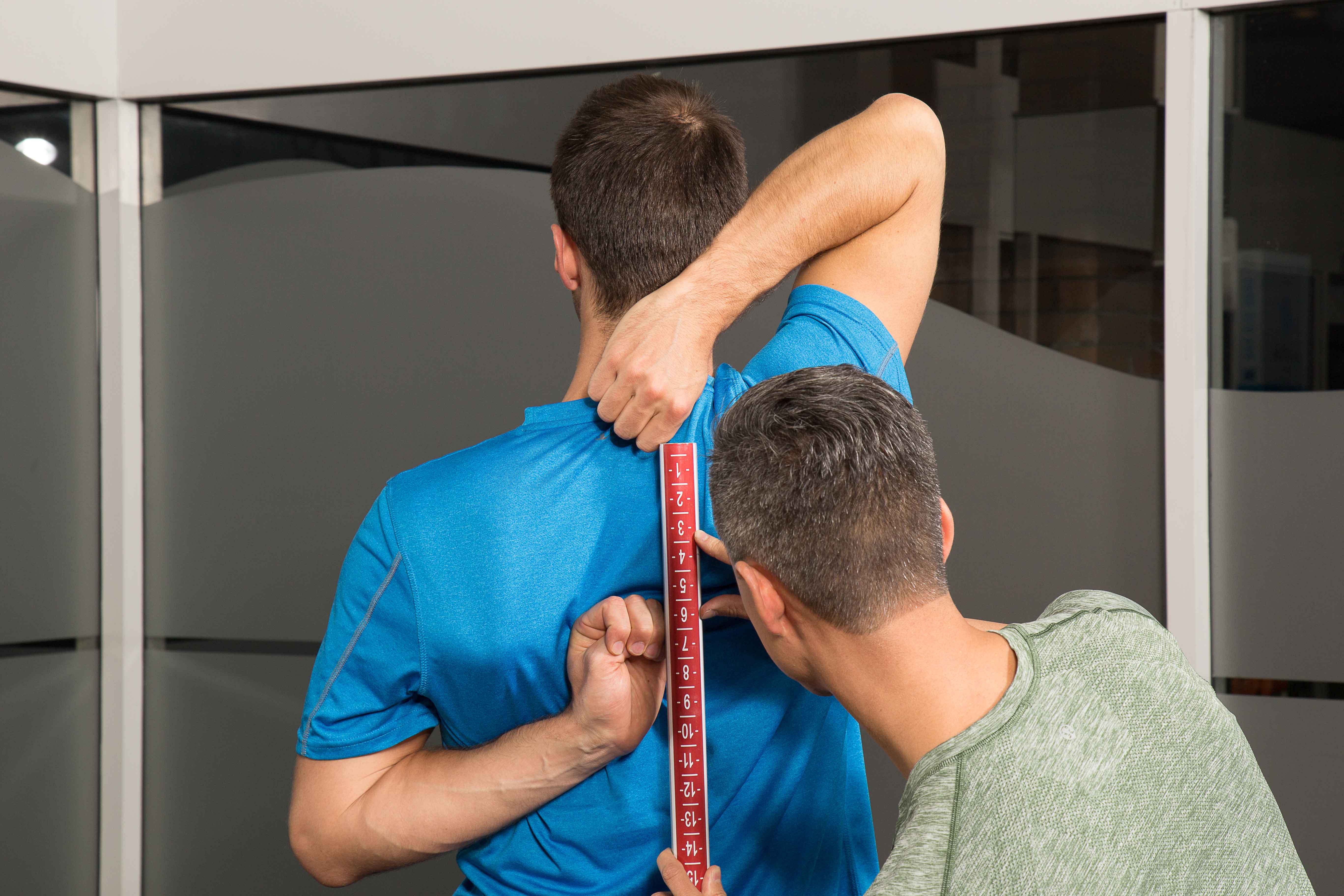 FMS Level 1 Online Course  Functional Movement Systems